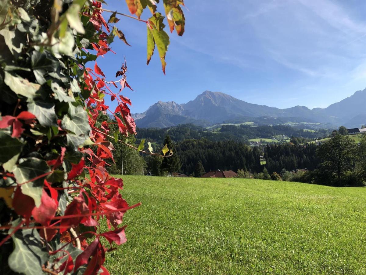 Ferienwohnung Pyhrgasblick Rosenau am Hengstpass Exterior foto