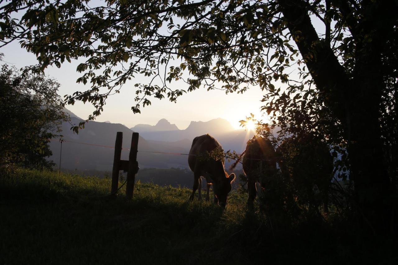 Ferienwohnung Pyhrgasblick Rosenau am Hengstpass Exterior foto