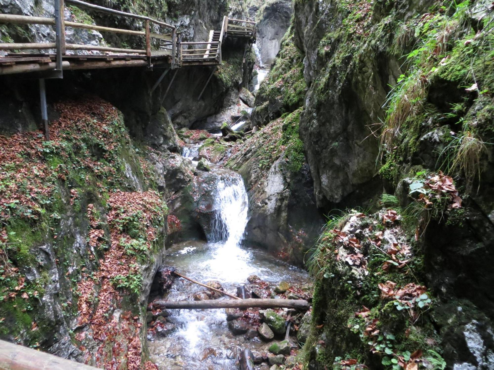 Ferienwohnung Pyhrgasblick Rosenau am Hengstpass Exterior foto